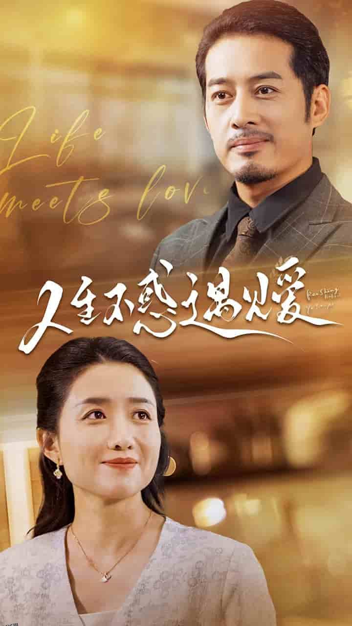 人生不惑遇见爱 海报