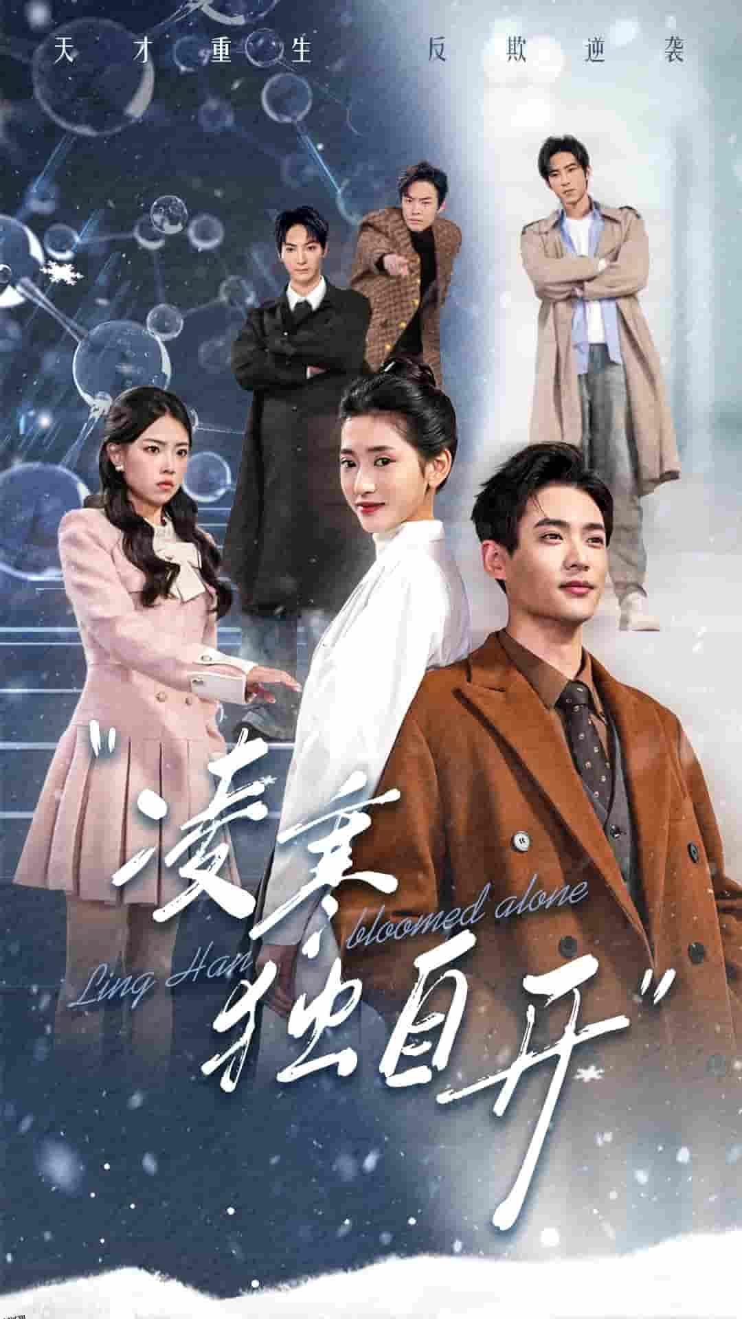 凌寒独自开 高清海报