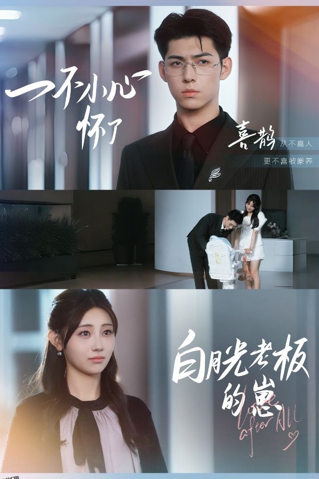 一不小心怀了白月光老板的崽 海报
