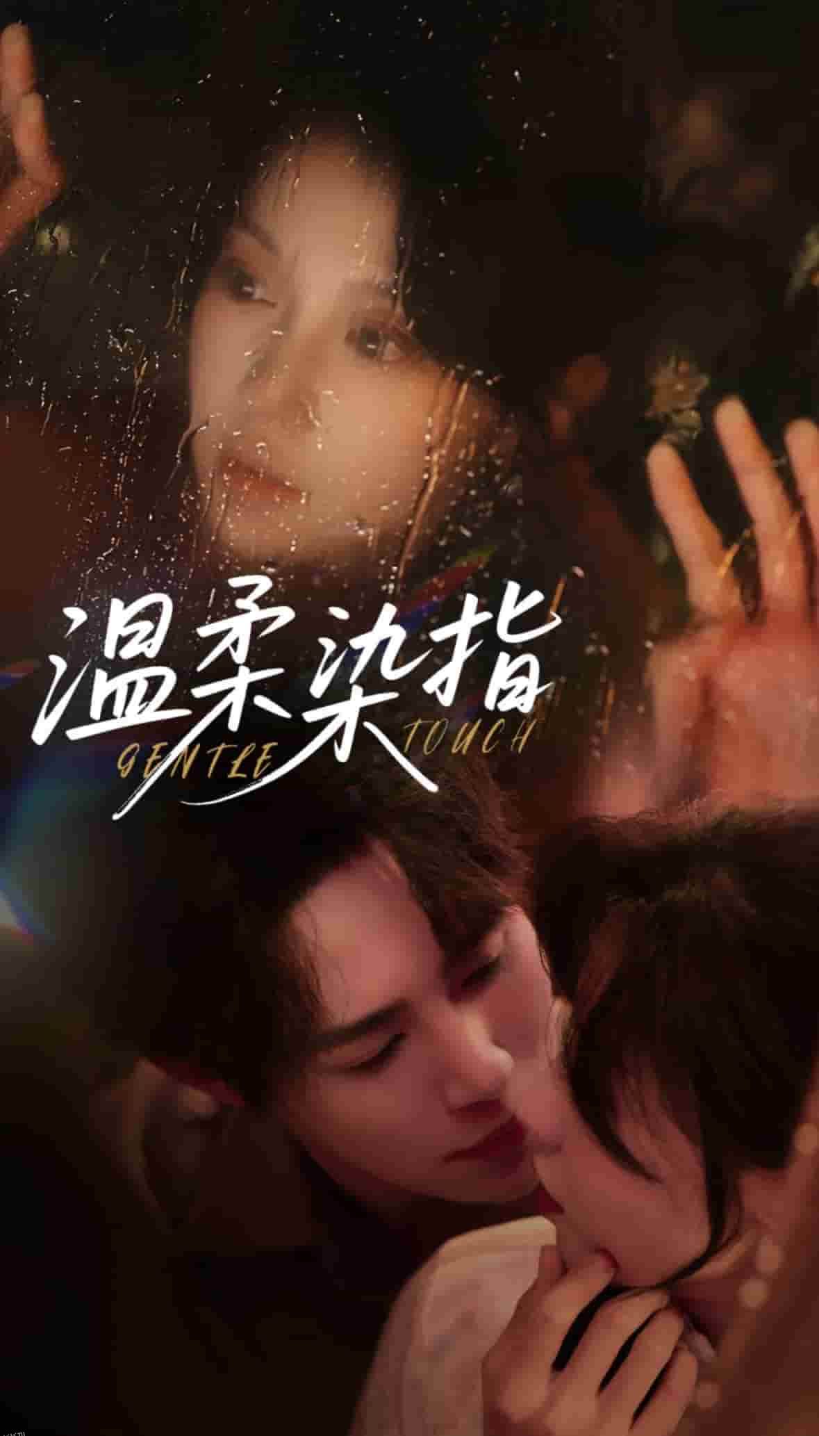 温柔染指 海报