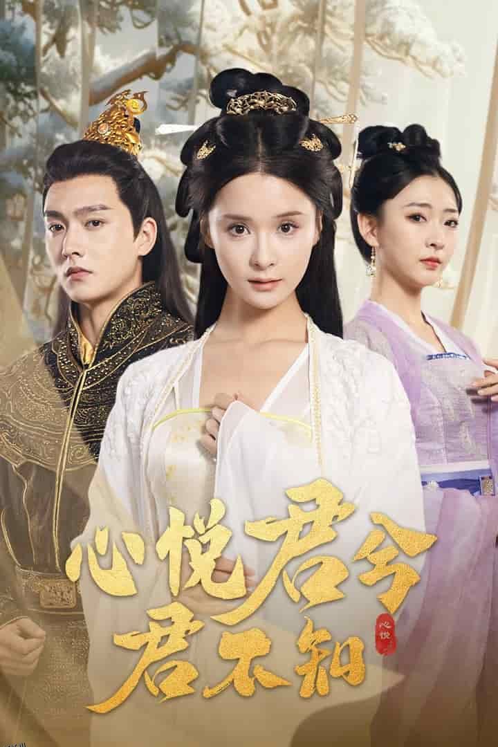 心悦君兮君不知 海报