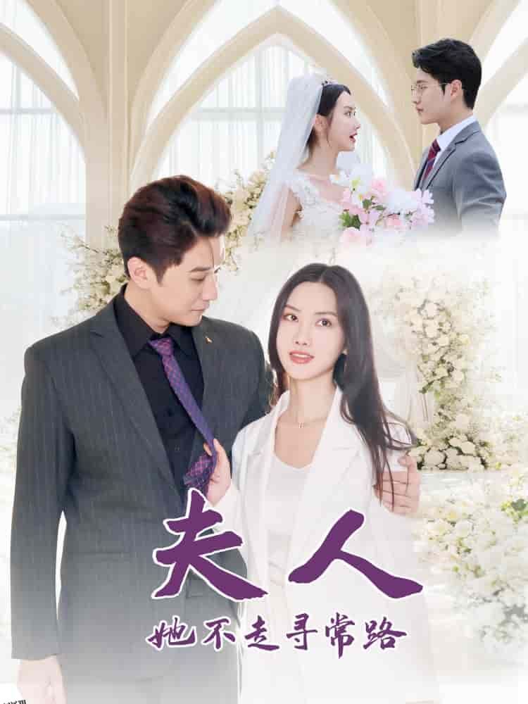 夫人她不走寻常路 高清海报