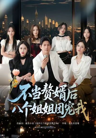 不当赘婿后八个姐姐团宠我 海报