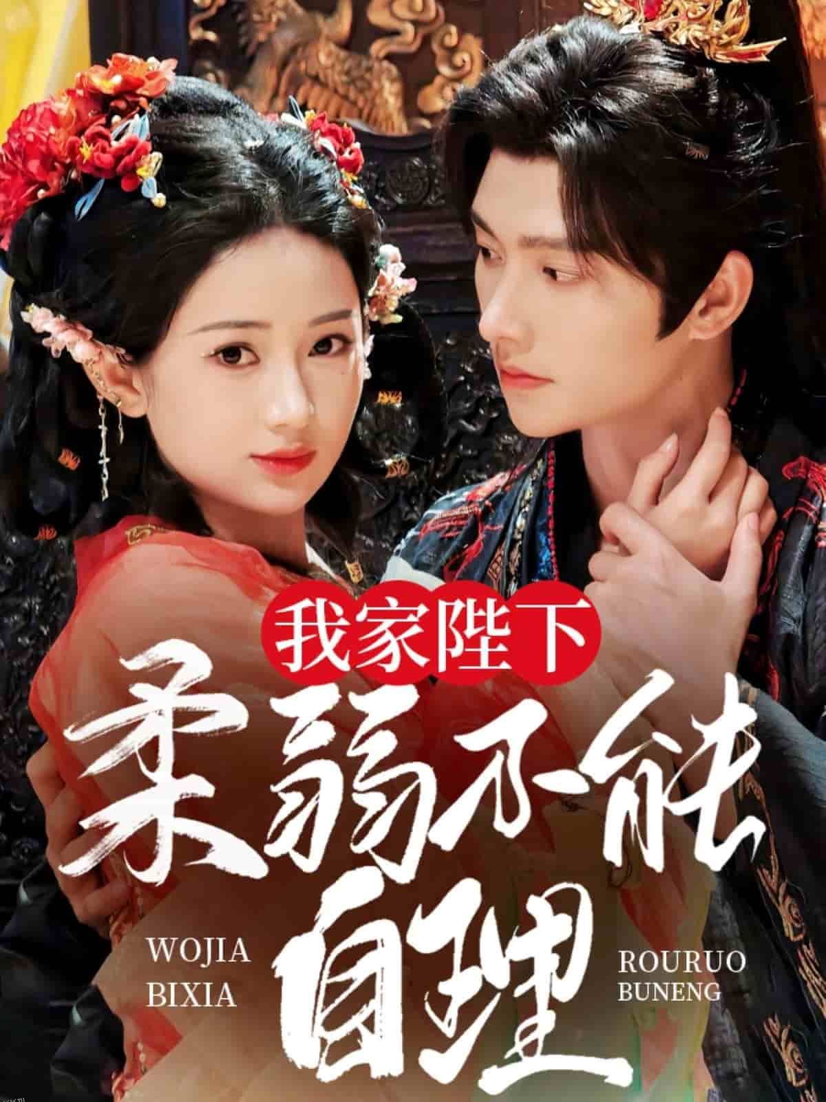 我家陛下柔弱不能自理 海报