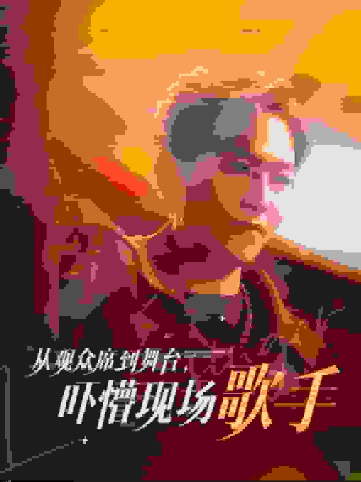 从观众席到舞台吓懵现场歌手 高清海报