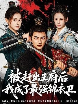 被赶出王府后我成了最强锦衣卫 海报