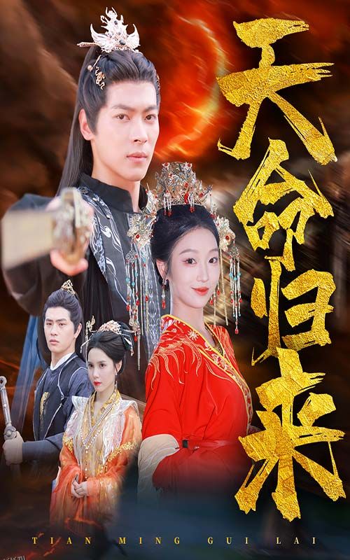 天命归来 高清海报