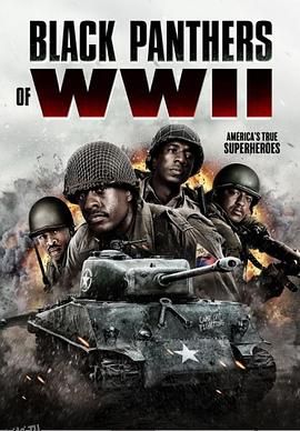 二战黑豹 海报