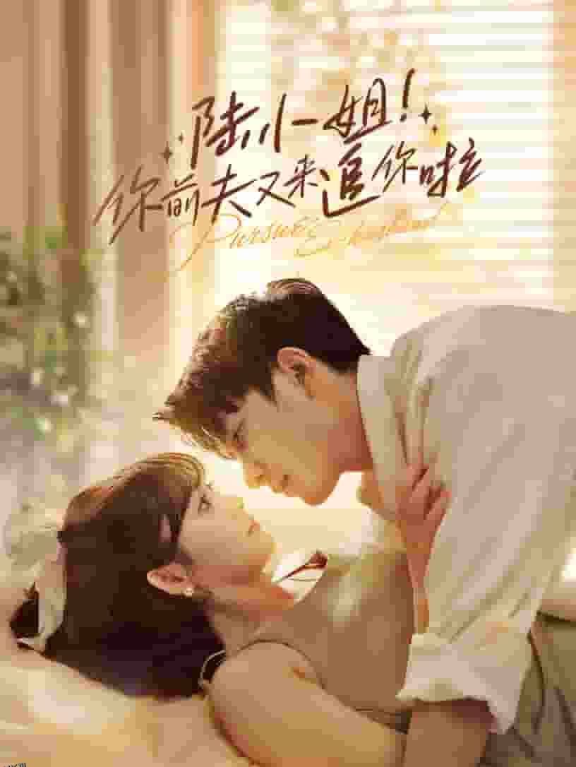 陆小姐！你前夫又来追你啦 海报