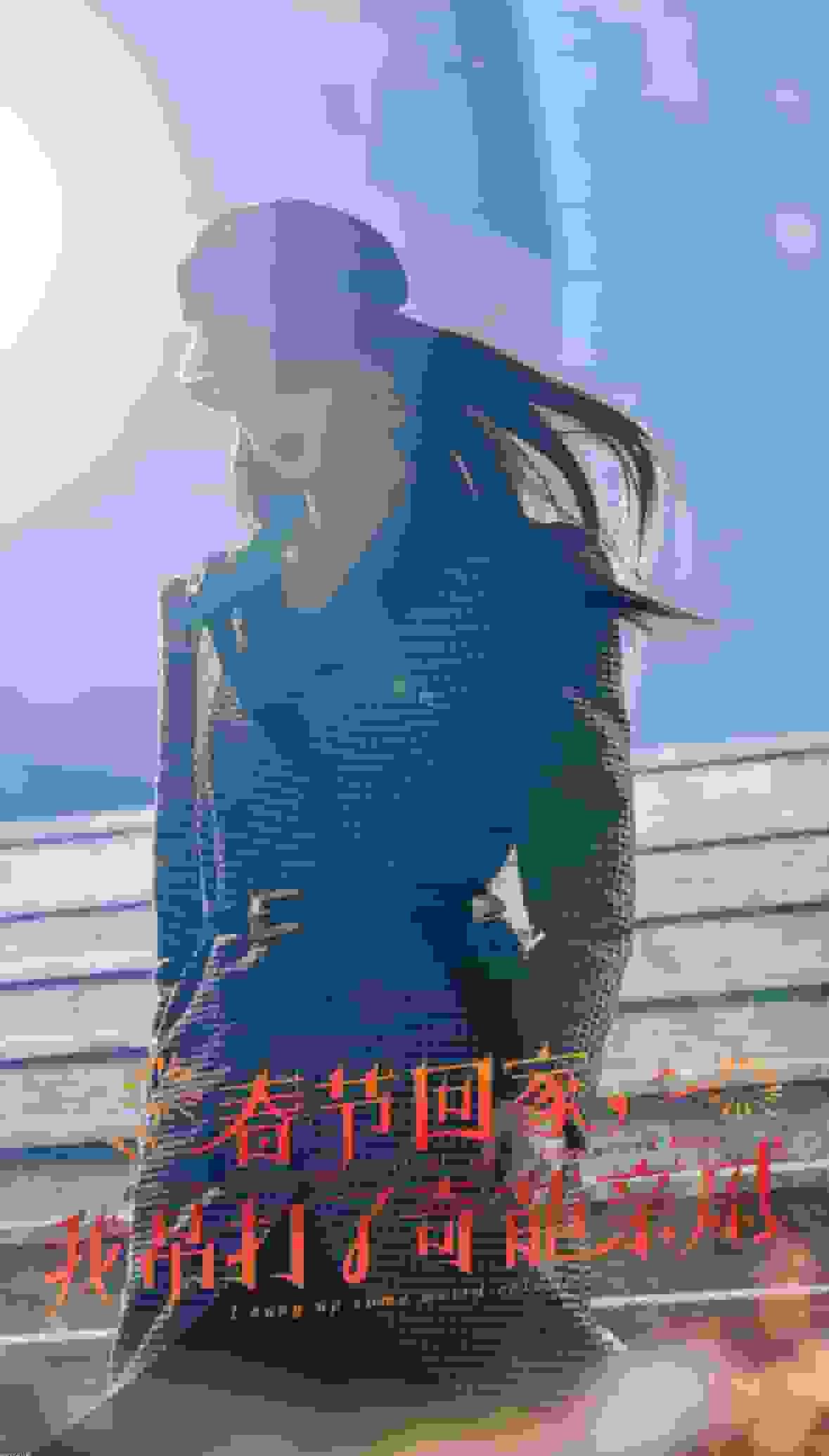 爆竹声中谙世路 海报