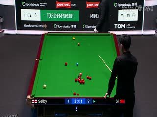 斯诺克巡回锦标赛12进8 马克·塞尔比6-2斯佳辉（第一阶段） 20250402 海报