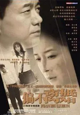 婚姻的敌人 海报