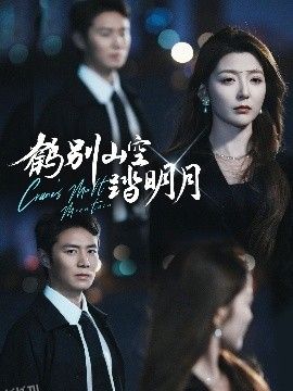 鹤别山空踏明月 海报