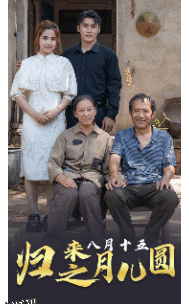 归来之八月十五月儿圆 海报