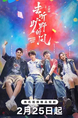 去听旷野的风 海报