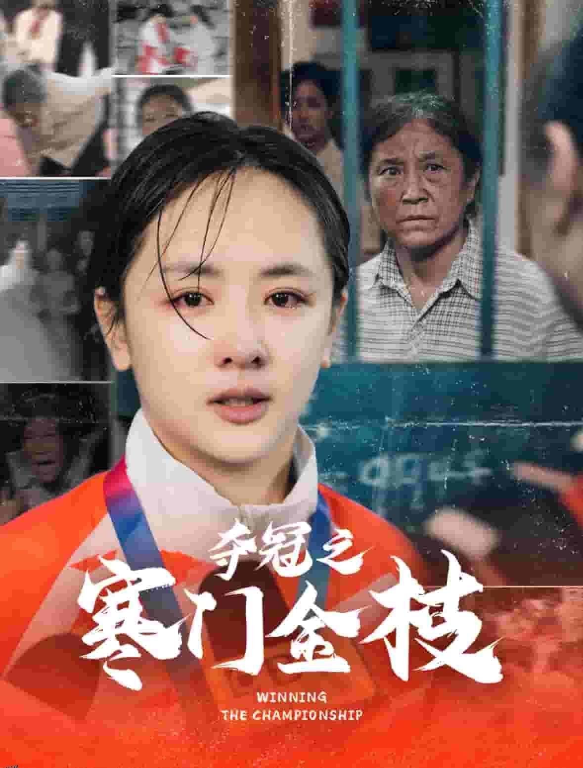 夺冠之寒门金枝 海报