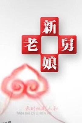 新老娘舅 海报