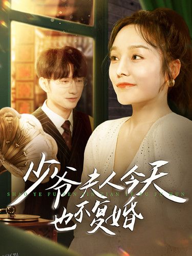 少爷夫人今天也不复婚 海报