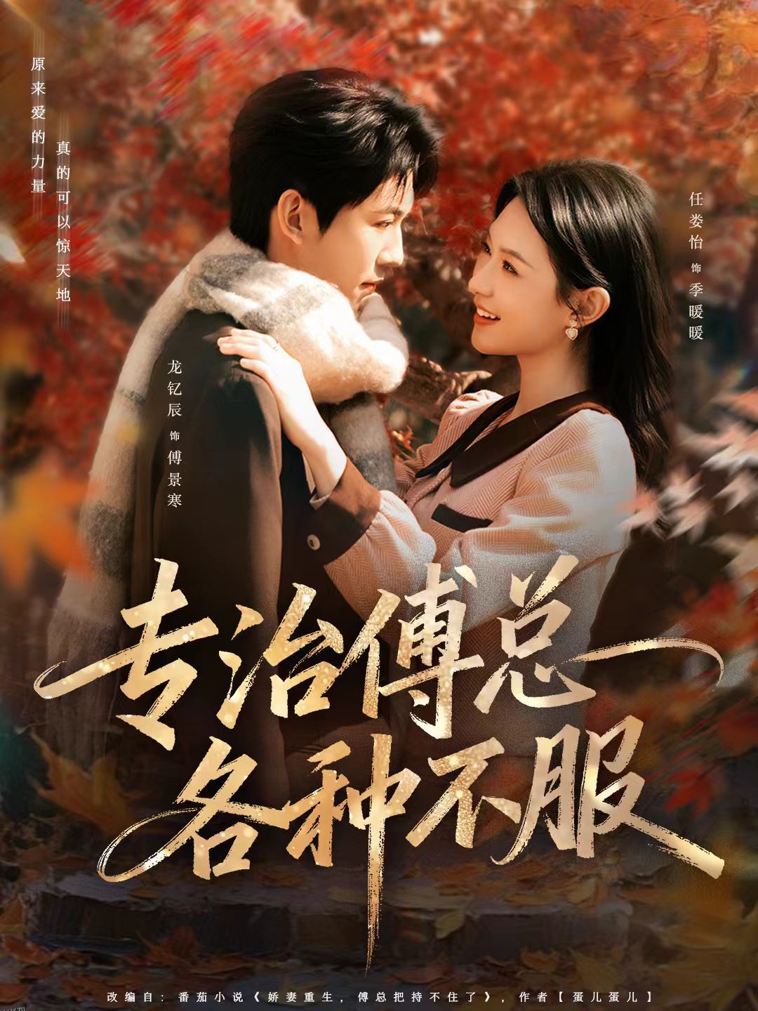 专治傅总各种不服 海报