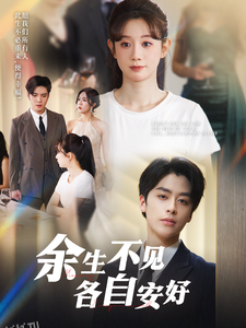 余生不见各自安好 高清海报