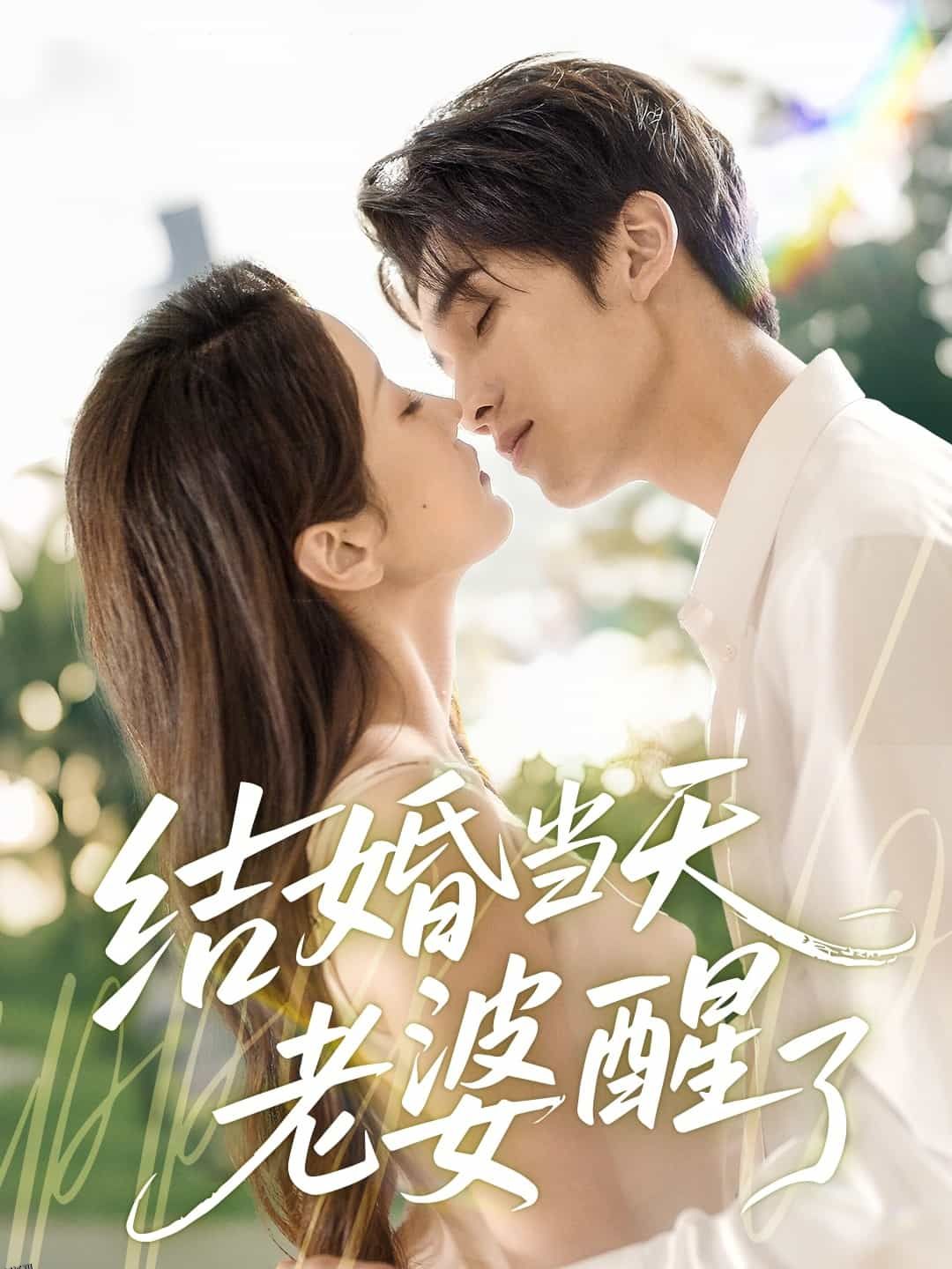 结婚当天老婆醒了 海报