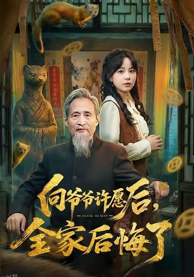 向爷爷许愿后，全家后悔了 海报