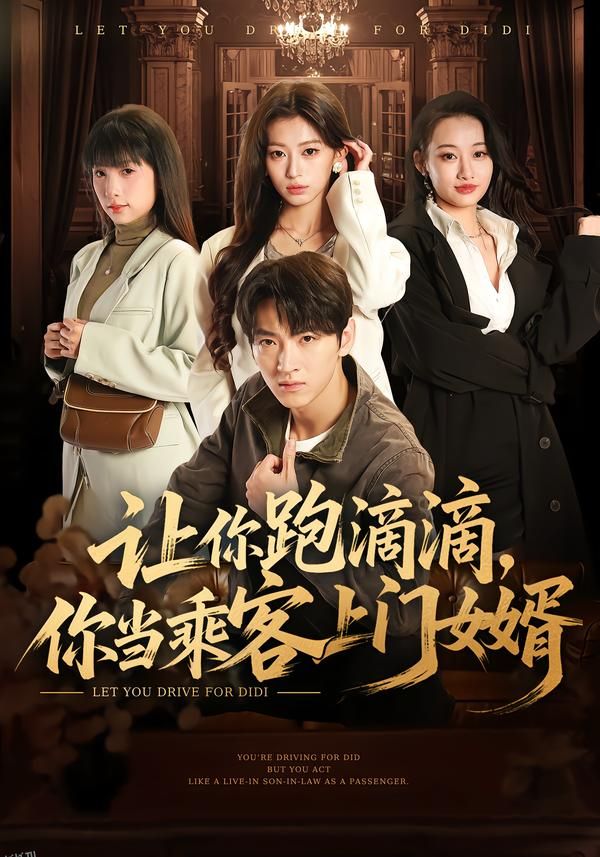 让你跑滴滴，你当乘客上门女婿 海报