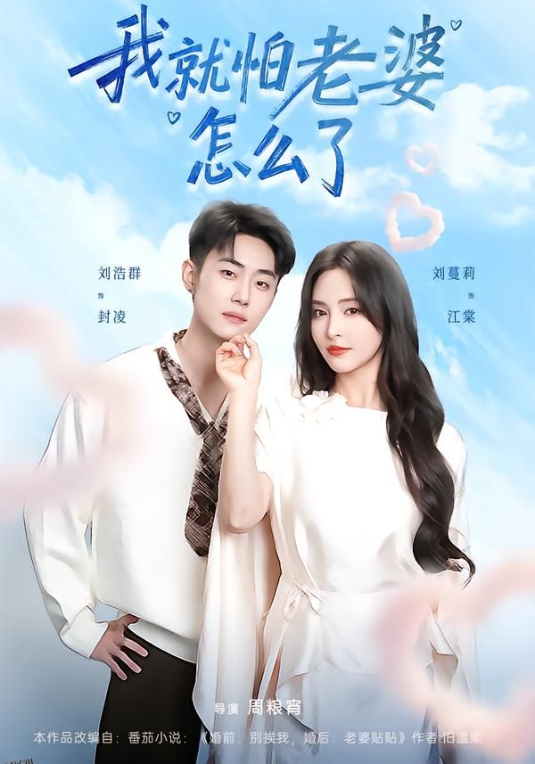 我就怕老婆怎么了 海报