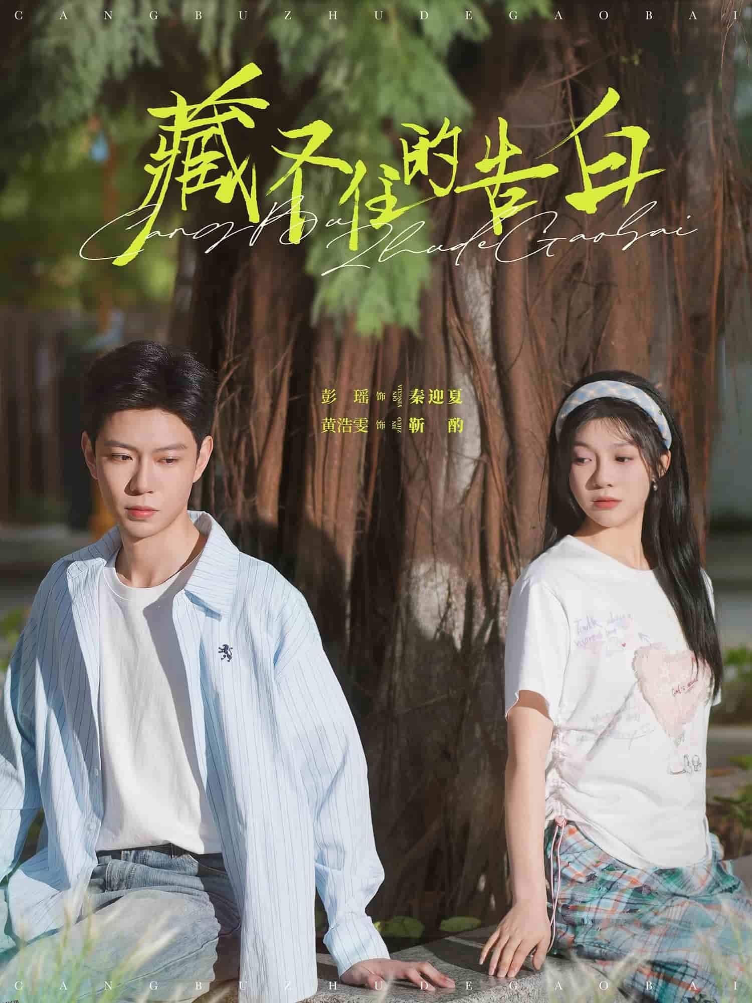 藏不住的告白 海报