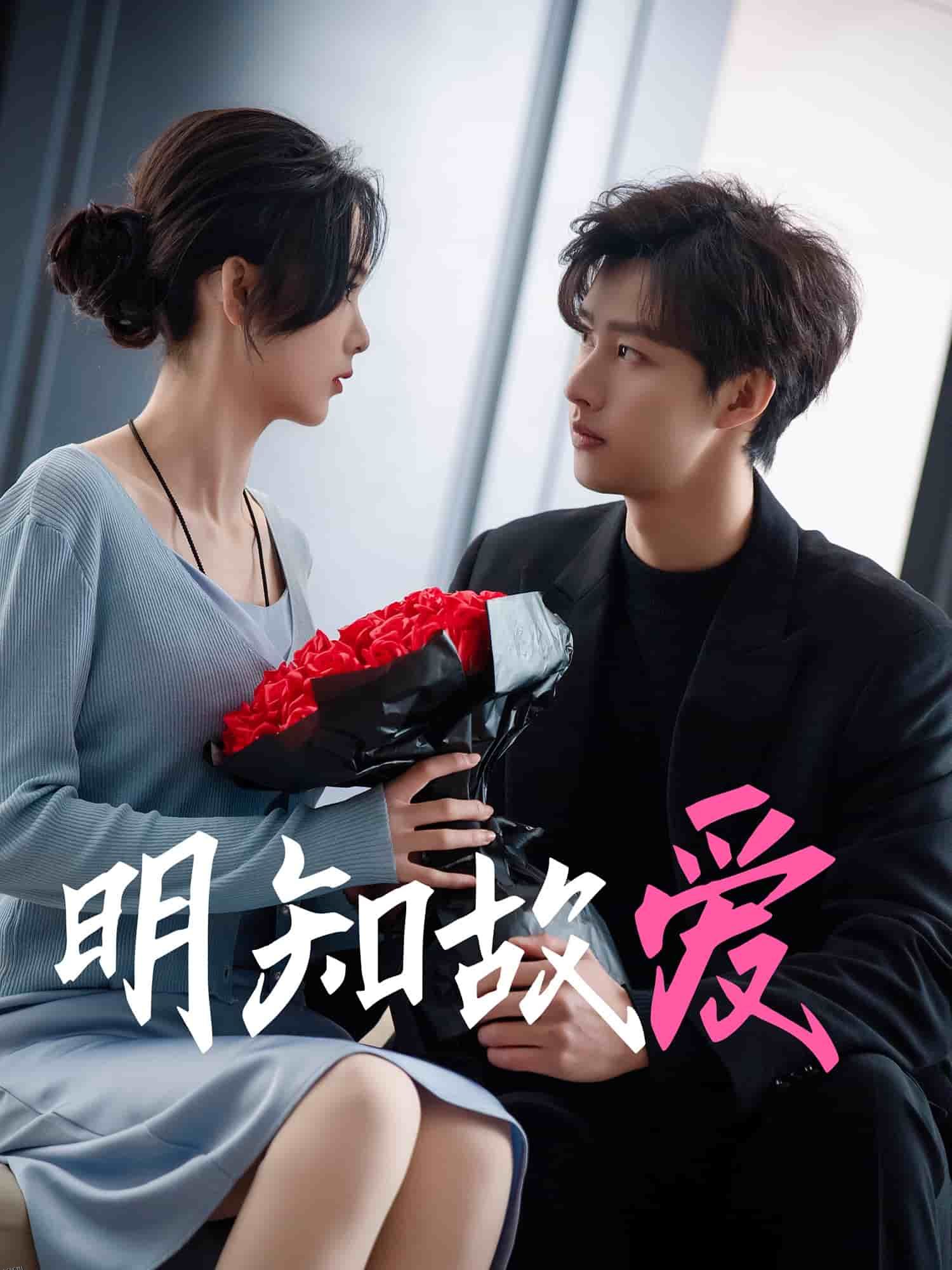 明知故爱 高清海报