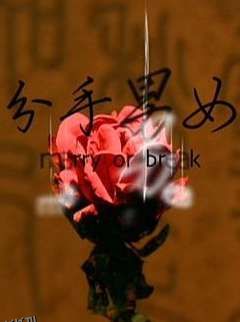 分手男女2008 海报