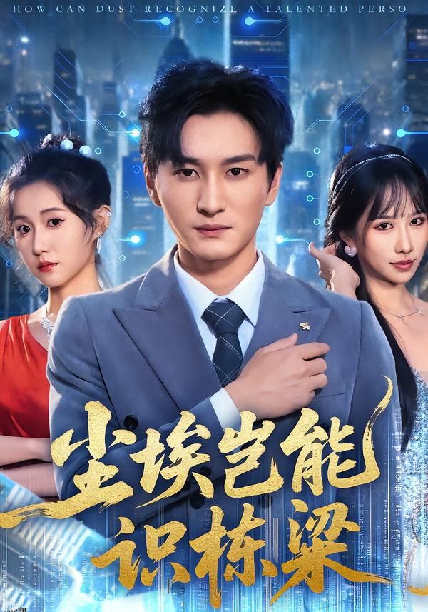 尘埃岂能识栋梁 海报