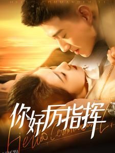 你好厉指挥 高清海报