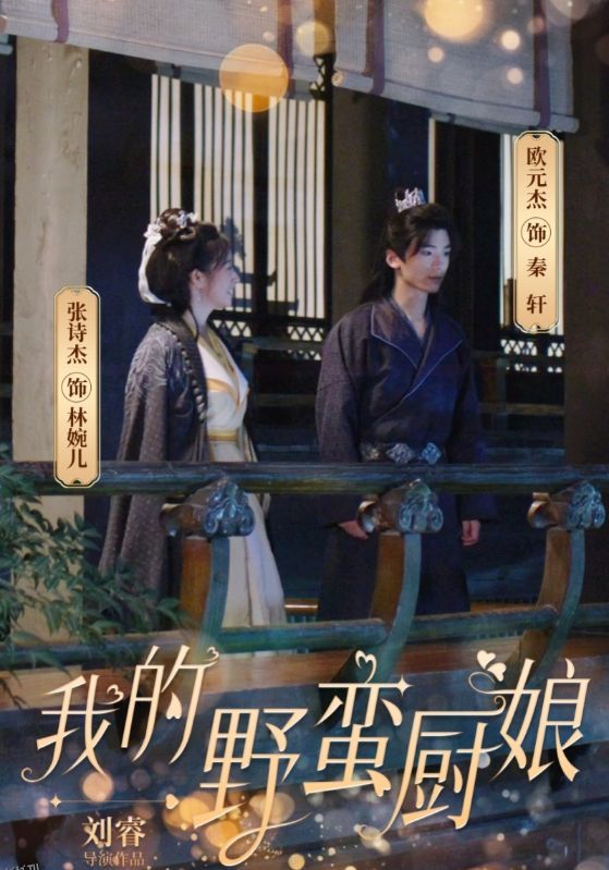 我的野蛮厨娘 海报