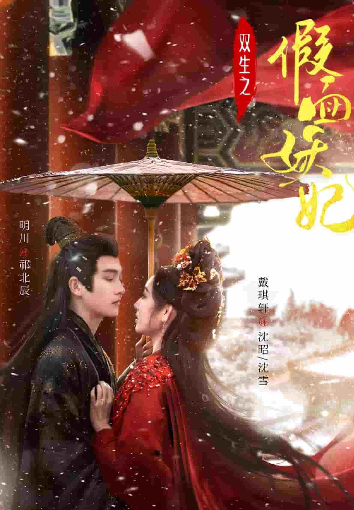 双生之假面妖妃 海报