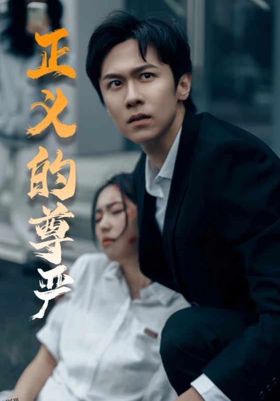 正义的尊严 海报