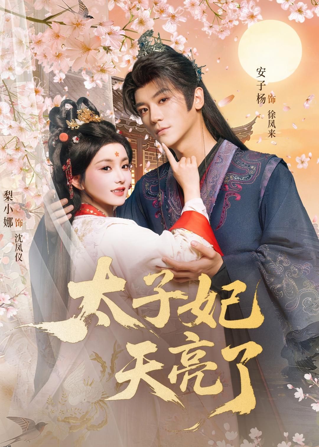 太子妃天亮了 海报