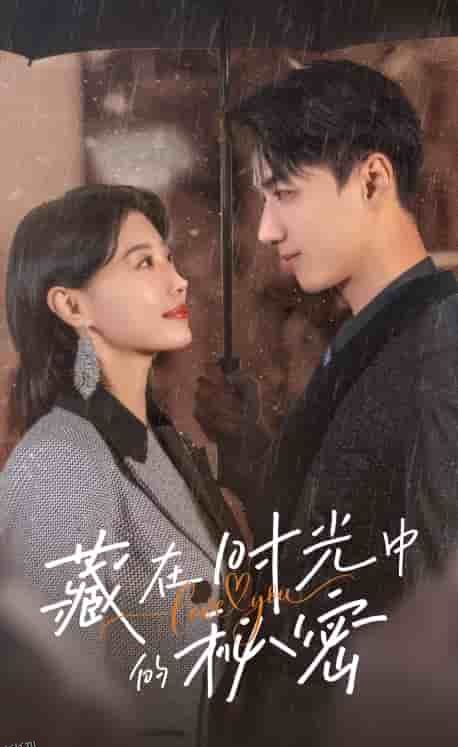 藏在时光中的秘密 海报