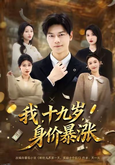 我十九岁身价暴涨 海报