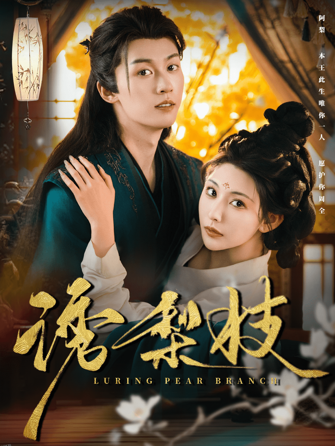 诱梨枝 海报
