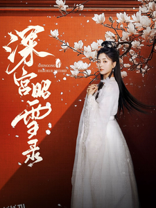 深宫昭雪录 海报