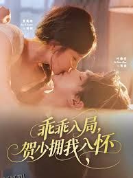 乖乖入局贺少拥我入怀 海报