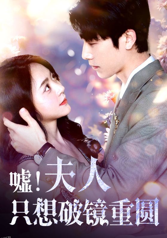 嘘！夫人只想破镜重 海报