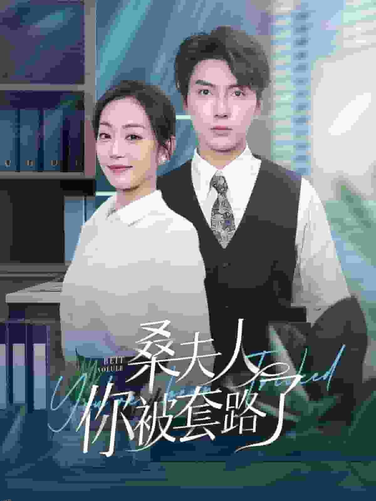 桑夫人你被套路了 海报