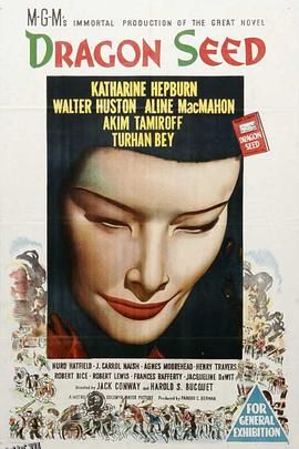 龙种[电影解说] 高清海报