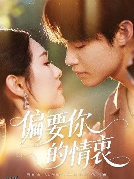 偏要你的情衷 海报