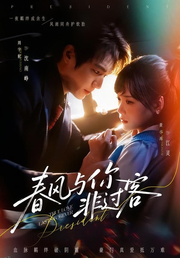 春风与你非过客 海报