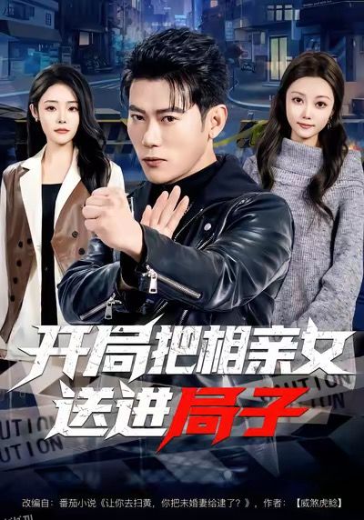 开局把相亲女送进局子 海报