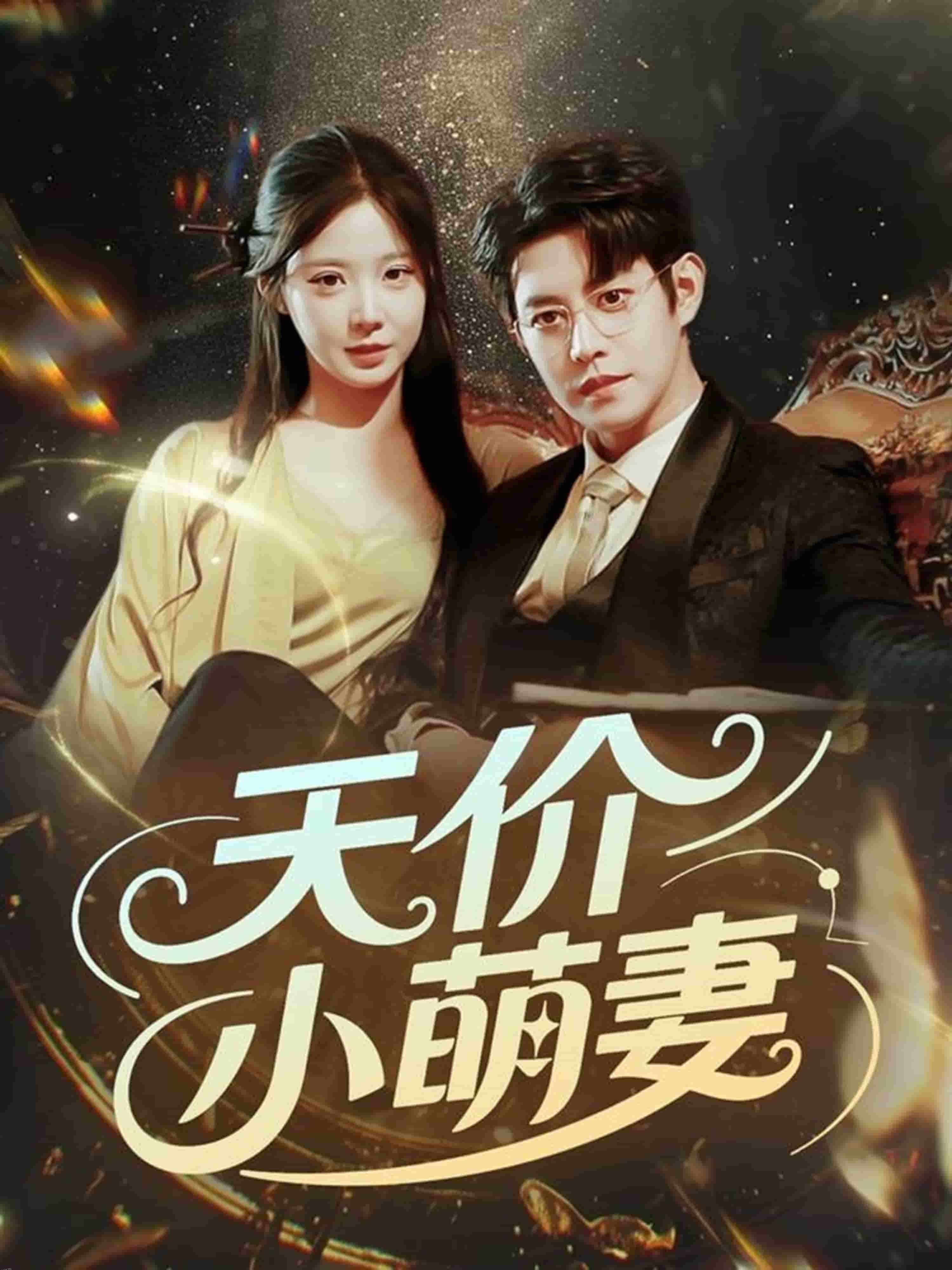 天价小萌妻 海报