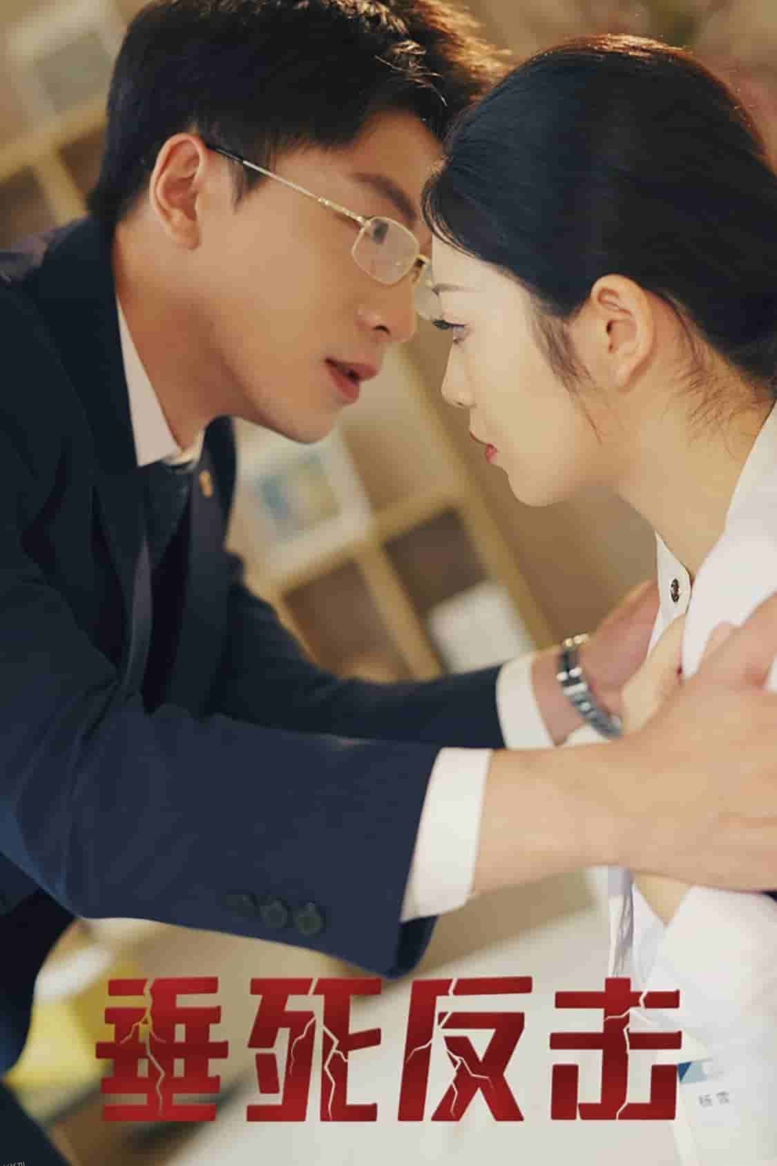 垂死反击 高清海报